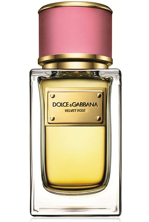 dolce gabbana pink perfume|dolce and gabbana velvet rose.